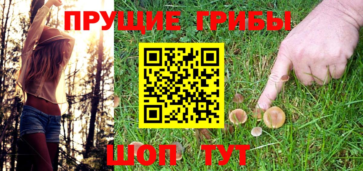 Псилоцибиновые грибы Cubensis  Вход с VPN  Щёлково  наркошоп  Псилоцибиновые грибы Cubensis 